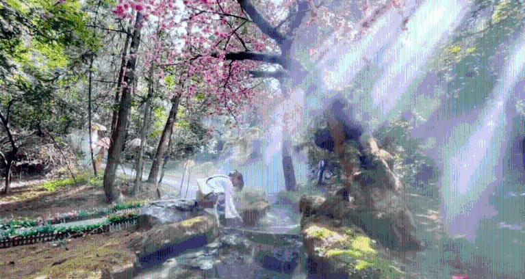 沪江开心词场